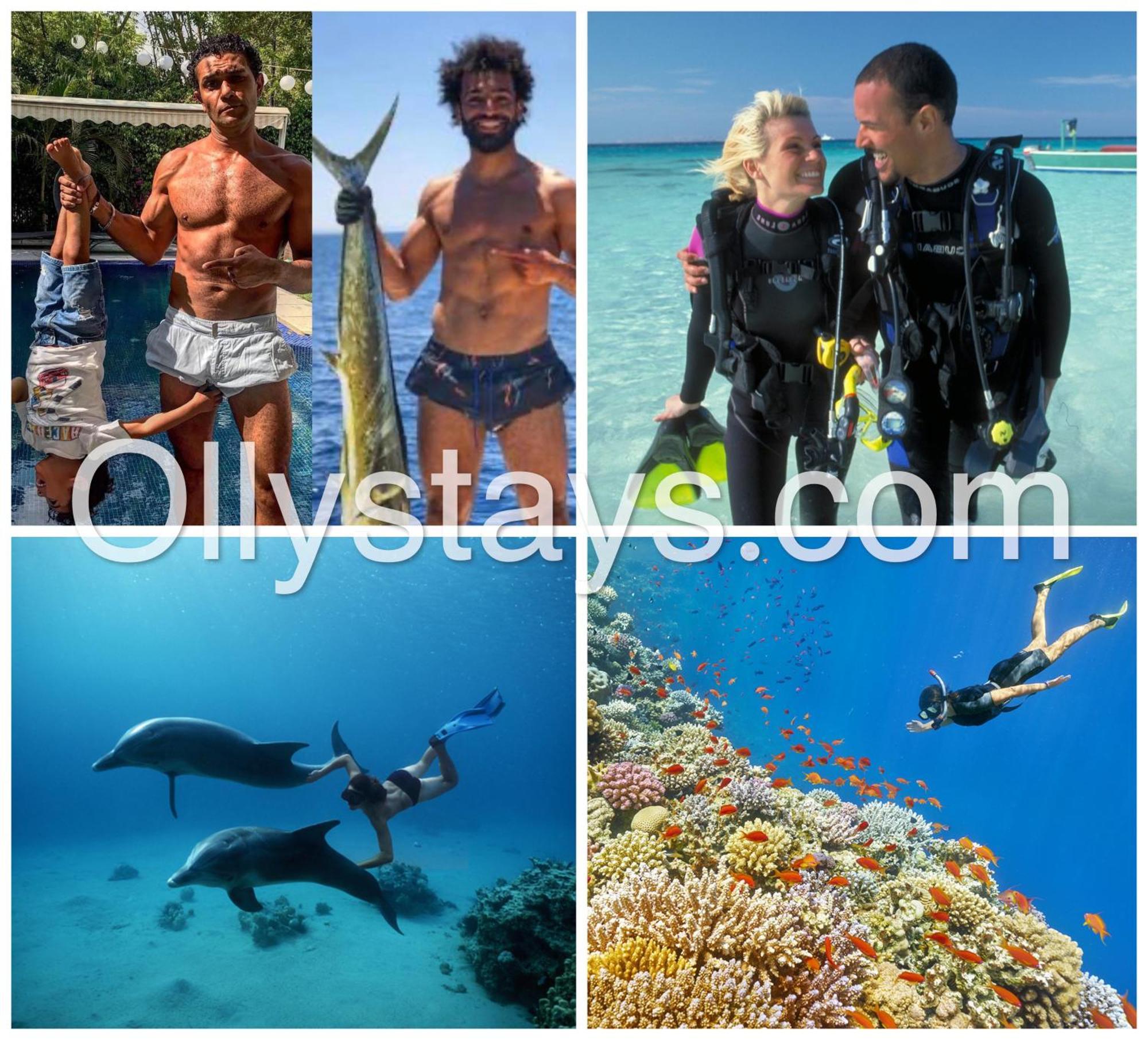 Ollystays Mangroovy Seaview 1Br Beach And Pool Free Access Хургада Экстерьер фото