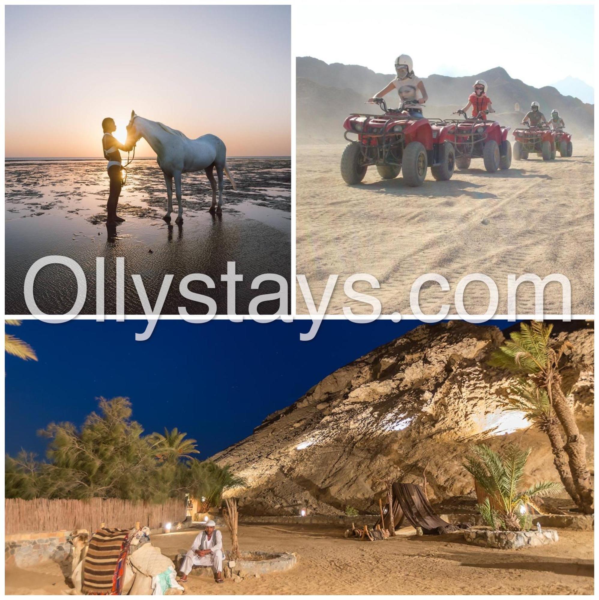 Ollystays Mangroovy Seaview 1Br Beach And Pool Free Access Хургада Экстерьер фото